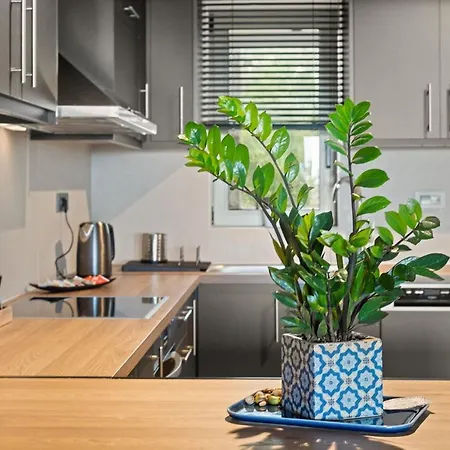 Sygyro Neokhorion (Messenia)