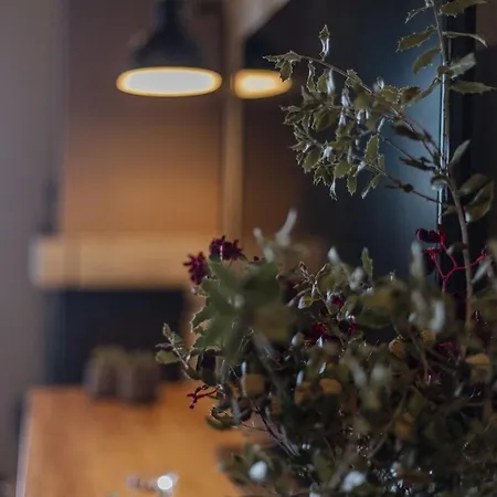 Sygyro * Neokhorion (Messenia)