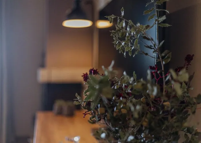 Sygyro * Neokhorion (Messenia)